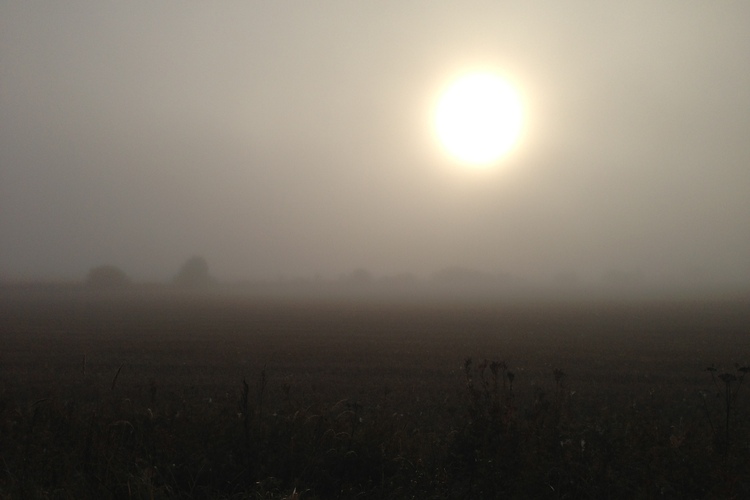 Sumuinen niitty ja auringonnousu